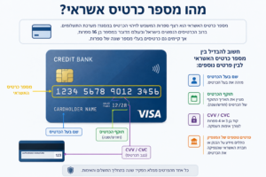 אינפוגרפיקה המסבירה מהו מספר כרטיס אשראי, היכן הוא מופיע בכרטיס ומה ההבדל בין מספר הכרטיס, שם בעל הכרטיס, תוקף וקוד CVV/CVC.